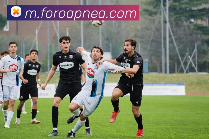 多彩内容专区